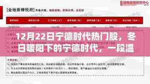 冬日暖阳下的宁德时代,热门股的投资故事