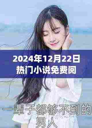 夏星辰热门小说免费阅读指南,2024年12月22日一站式攻略