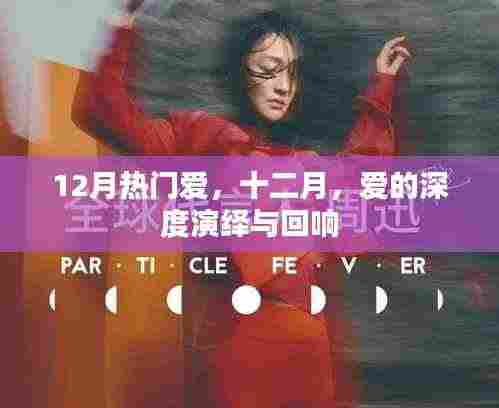 十二月爱的深度演绎与回响,爱的回响在冬季绽放