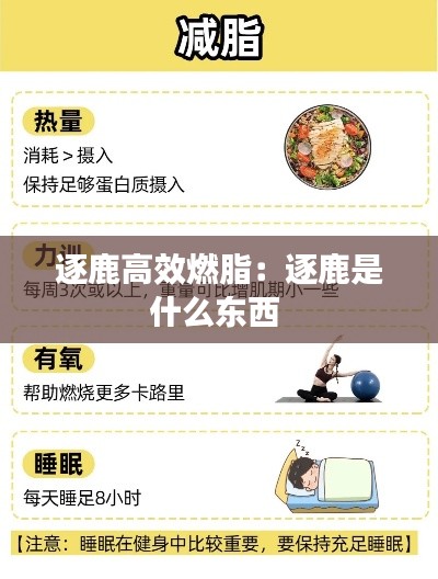 逐鹿高效燃脂:逐鹿是什么东西