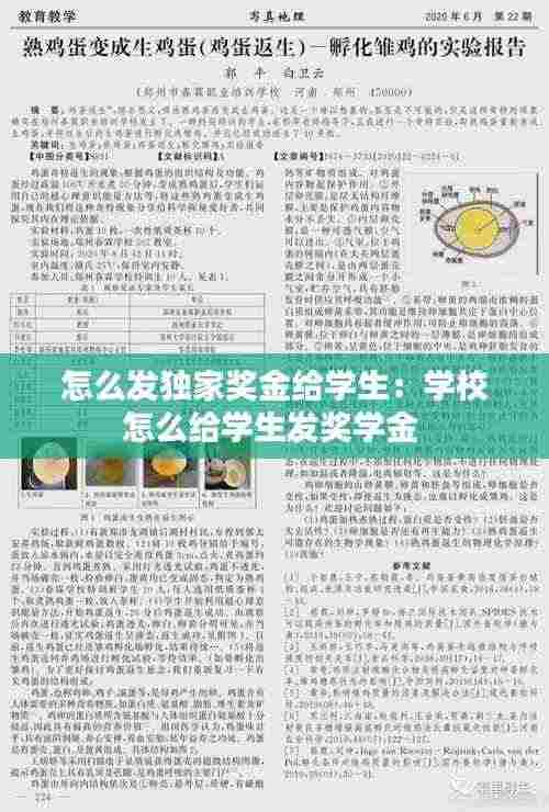 怎么发独家奖金给学生:学校怎么给学生发奖学金