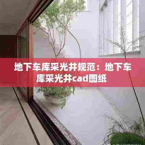 地下车库采光井规范:地下车库采光井cad图纸