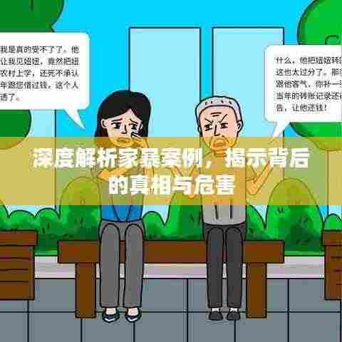 深度解析家暴案例,揭示背后的真相与危害