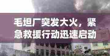 毛坦厂突发大火，紧急救援行动迅速启动，现场情况如何？