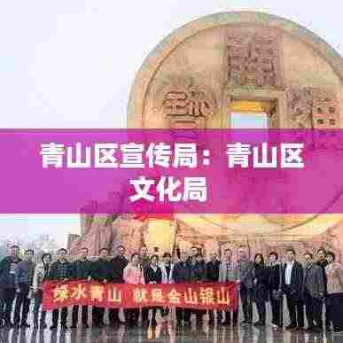 青山区宣传局:青山区文化局
