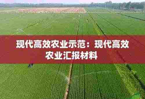 现代高效农业示范：现代高效农业汇报材料 