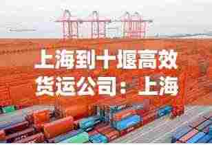 指李推张 第4页