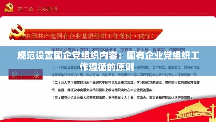 规范设置国企党组织内容:国有企业党组织工作遵循的原则