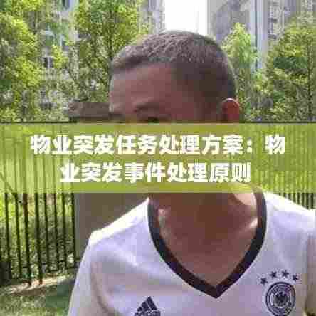 物业突发任务处理方案:物业突发事件处理原则