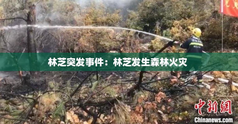 林芝突发事件：林芝发生森林火灾 