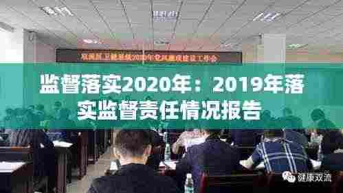监督落实2020年:2019年落实监督责任情况报告