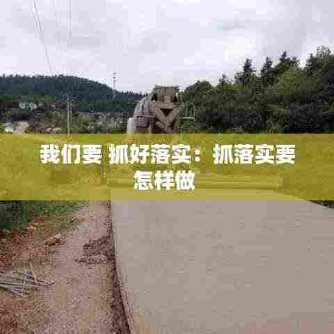 我们要 抓好落实：抓落实要怎样做 