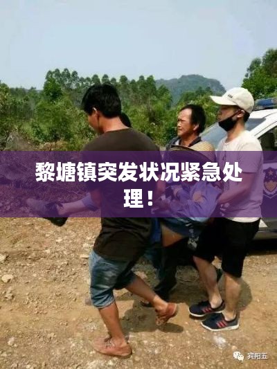 黎塘镇突发状况紧急处理!