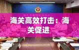 海关高效打击:海关促进