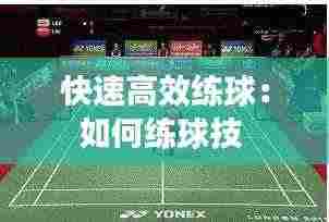 飞龙在天 第4页