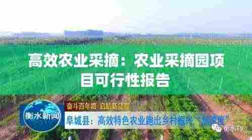 高效农业采摘:农业采摘园项目可行性报告