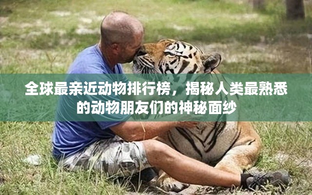 全球最亲近动物排行榜,揭秘人类最熟悉的动物朋友们的神秘面纱