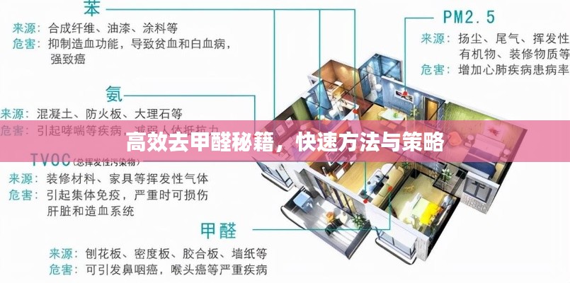 高效去甲醛秘籍，快速方法与策略