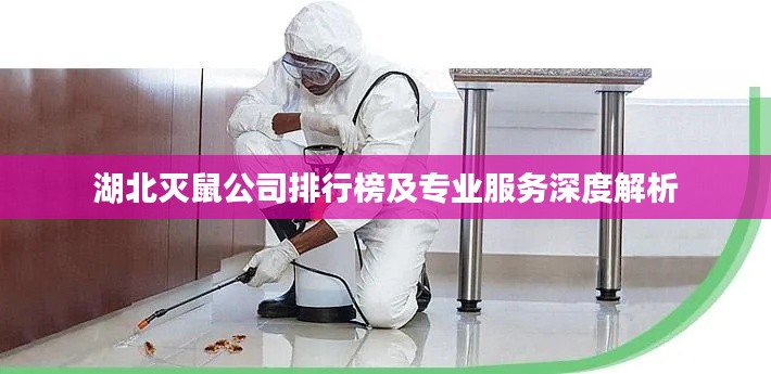 湖北灭鼠公司排行榜及专业服务深度解析
