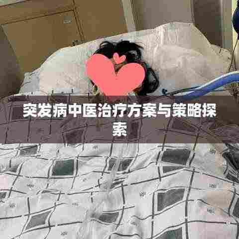 突发病中医治疗方案与策略探索