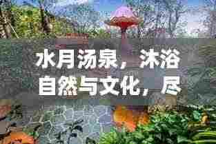 水月汤泉，沐浴自然与文化，尽享独特体验