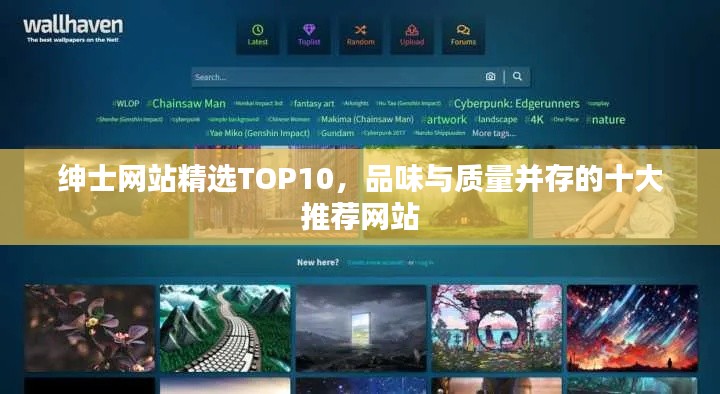 绅士网站精选TOP10,品味与质量并存的十大推荐网站