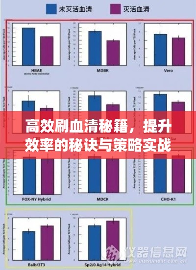 高效刷血清秘籍,提升效率的秘诀与策略实战指南
