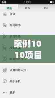 案例1010项目揭秘,策略与实践的完美结合,高效反击细碎挑战