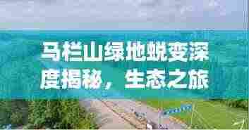 马栏山绿地蜕变深度揭秘，生态之旅的惊人转变之路