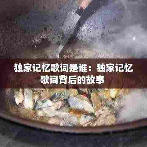 独家记忆歌词是谁:独家记忆歌词背后的故事