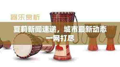 夏莉新闻速递,城市最新动态一网打尽