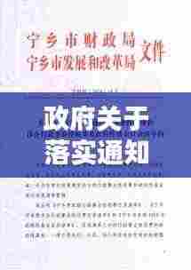 政府关于落实通知:关于政府的通报