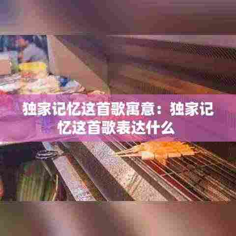 独家记忆这首歌寓意:独家记忆这首歌表达什么