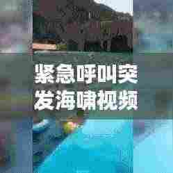 紧急呼叫突发海啸视频:紧急呼救海啸电影在线观看