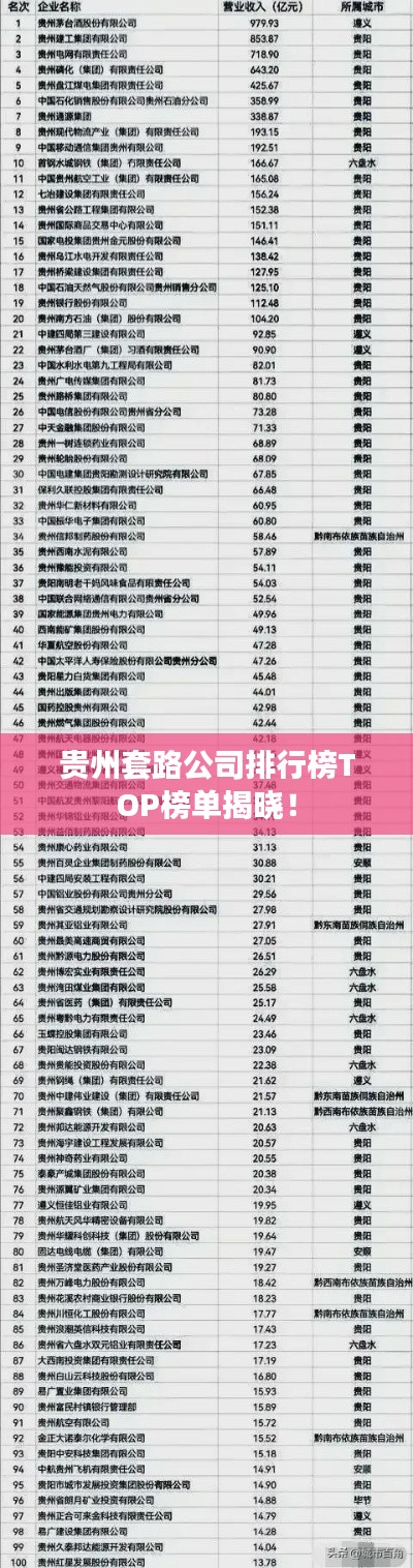 贵州套路公司排行榜TOP榜单揭晓!