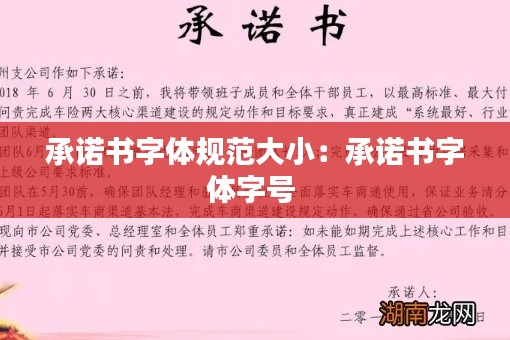 承诺书字体规范大小:承诺书字体字号