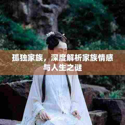 孤独家族,深度解析家族情感与人生之谜
