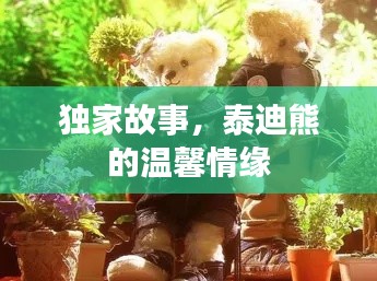 独家故事,泰迪熊的温馨情缘