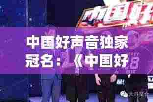 中国好声音独家冠名：《中国好声音》冠军 