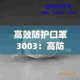 高效防护口罩3003:高防护口罩是什么样的
