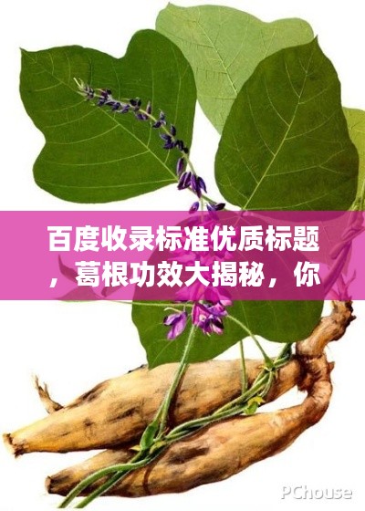 百度收录标准优质标题，葛根功效大揭秘，你不可不知的神奇作用！