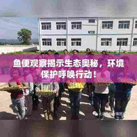 鱼便观察揭示生态奥秘，环境保护呼唤行动！
