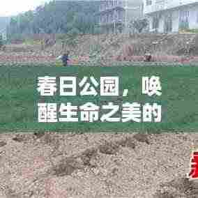 春日公园,唤醒生命之美的醉人画卷