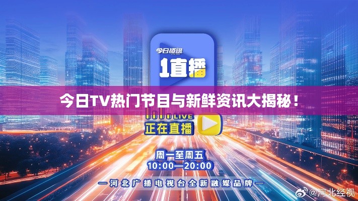 今日TV热门节目与新鲜资讯大揭秘!