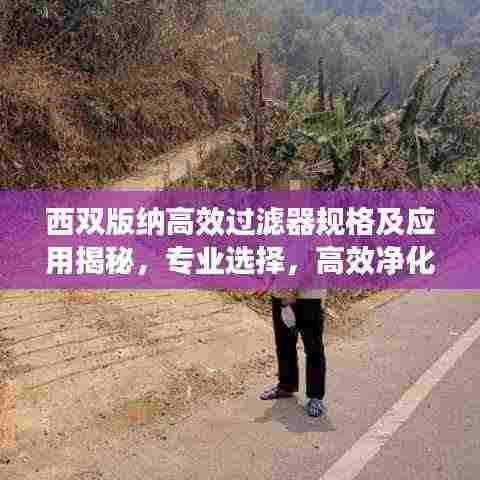 西双版纳高效过滤器规格及应用揭秘,专业选择,高效净化!