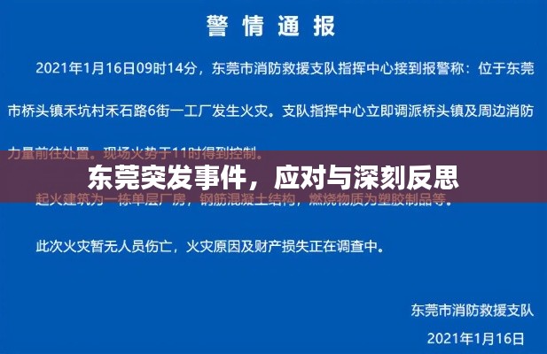 东莞突发事件,应对与深刻反思