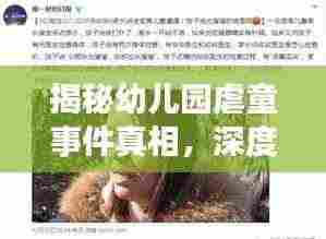揭秘幼儿园虐童事件真相,深度探究背后的故事