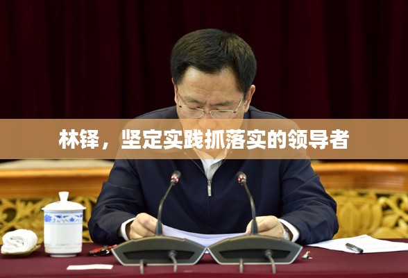 林铎,坚定实践抓落实的领导者