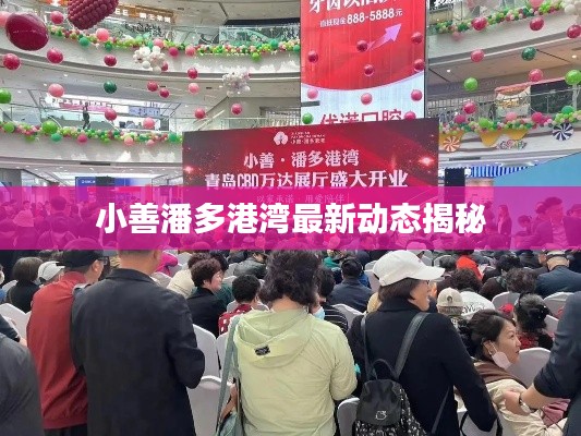 小善潘多港湾最新动态揭秘