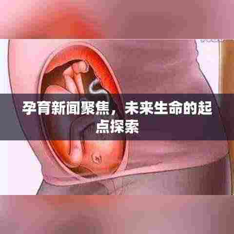 孕育新闻聚焦,未来生命的起点探索